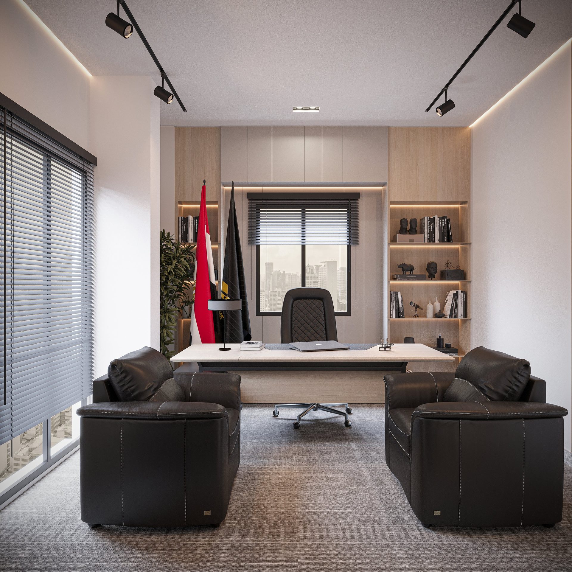Executive Authority